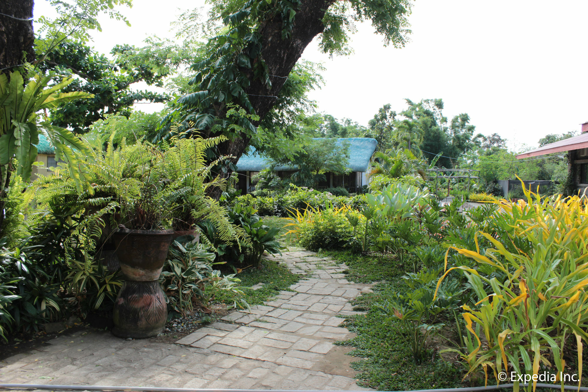 Reddoorz Plus Near Vigan Convention Center エクステリア 写真