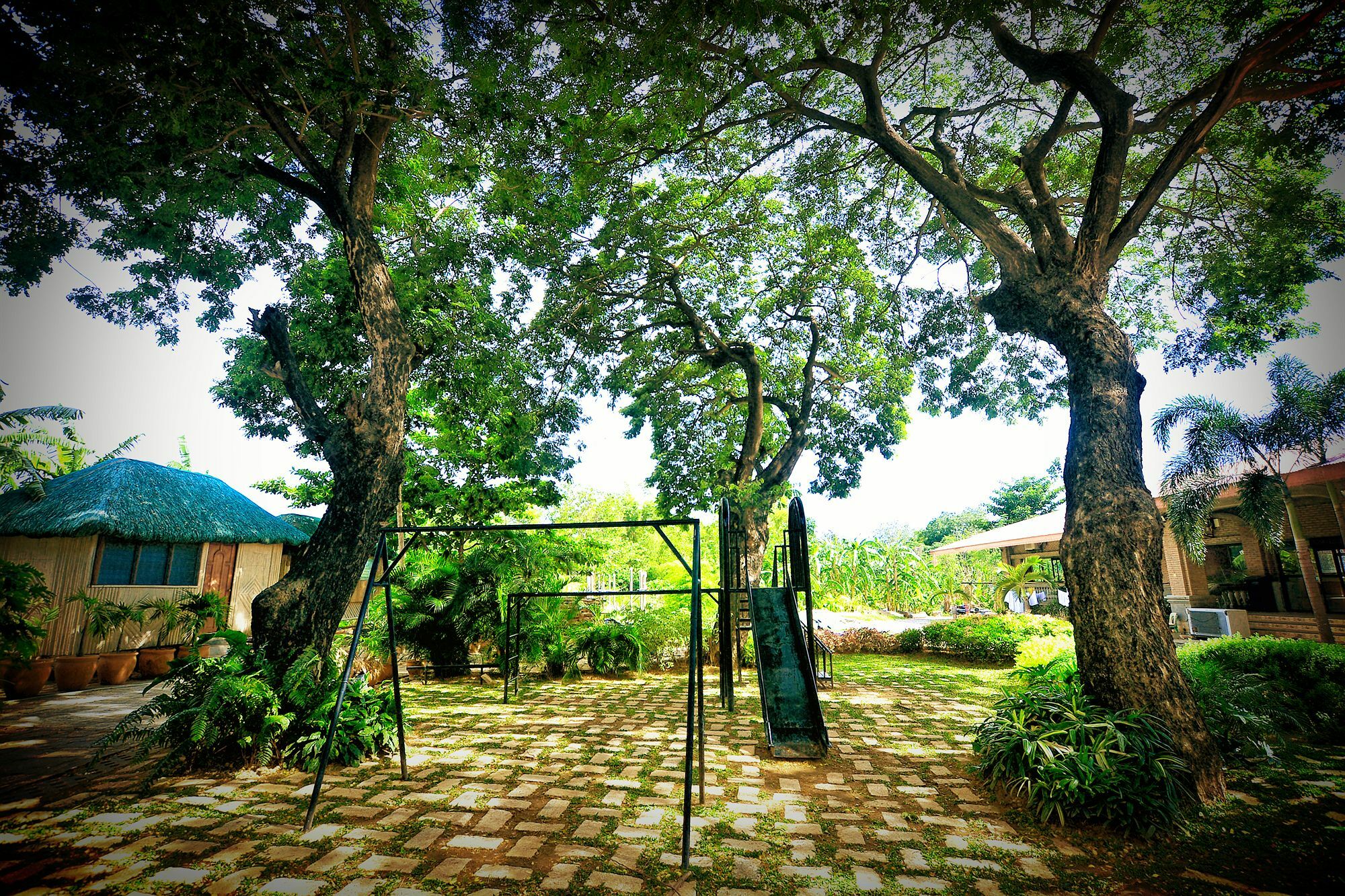 Reddoorz Plus Near Vigan Convention Center エクステリア 写真